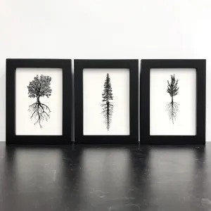 Trees and Roots - Oak - Pen and Ink Drawing Print - Print to Order
